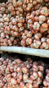 Hành bắc khô 3kg Hành ta khô Hải Dương loại 1 đã chọn lọc