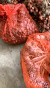 Tỏi tía ta 2kg loại 1 tỏi tía bắc Kinh Môn Hải Dương