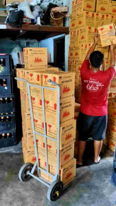 น้ำปลาตราหน่อไม้700มล.บรรจุขวดพลาสติกในกล่อง - 12 ขวด