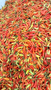 Sambal Geprek Instan Kemasan 500gr