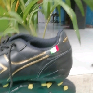 Sepatu Bola Sepatu Olahraga. Sepatu Futsal