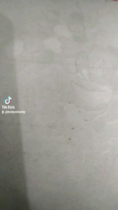 Barbie Kelly FREE Baju