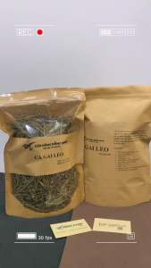 Thảo Dược Việt - CÀ GAI LEO