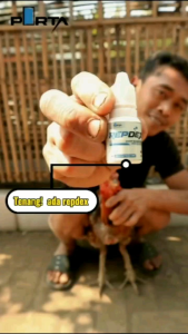 REPDEX Obat Korep Ayam Obat Jamur Ayam