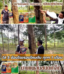 มายเพลนท์ อาหารพืชนวัตกรรมใหม่ ชนิดเกล็ด สูตร 1