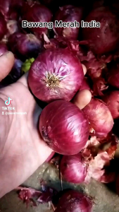 Bawang Merah India 1kg Bawang Merah Peking Jumbo Bawang Merah Segar