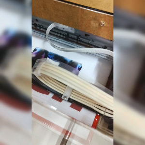 เสื้อยืดคอกลม น้องหมามองไร คอไม่ย้วย ผ้า cotton เกรดพรีเมี่ยม