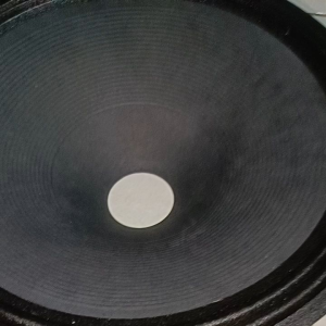 daun speaker 15" wofer lubang coil 6 cm