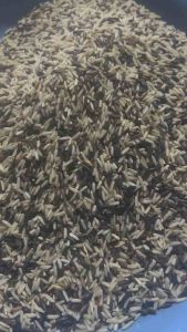 🌾🍚2กิโลกรัม ข้าวกล้องหอมมะลิผสมข้าวกล้องดำไรเบอรี่วิตามินหลากหลายปลอดสารเคมีไม่ใส่สารกัดมอดผู้ป่วยเบาหวานความดันทานได้คนที่ควบคุมอาหารน้ำหนักแพ็คสูญญากาศเก็บไว้ได้นาน2กิโลกรัมรวมน้ำหนักกล่องผลิตภัณฑ์