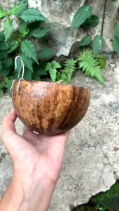 Batok Kelapa Tempurung Cepuk Wadah Tempat Makan Minum Burung Ayam Bebek