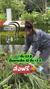 (ชุด 10 ด้าม) เคียวชุม เคียวศุภชัย ขนาดกลางตัด10 เกี่ยวข้าว เหล็กกล้าชุบแข็ง ฟันคมแข็งแรง