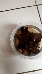 Jamur Kuping: Makanan Sehat & Diet Sehat