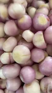 น้ำพริกน้ำย้อย ขนาด 500 กรัม ไม่มีน้ำตาล ไม่ใช้หอมสำเร็จรูป กรอบ อร่อย