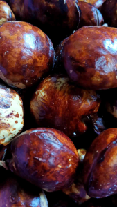 JENGKOL TUA SUPER 1KG BIJI BESAR