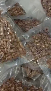 Ikan asin/cumi asin 250 gr/cumi baby premium 05-3 cm