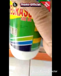 Herbisida AMEGRASS 500 SC (1Liter) obat Basmi segala Rumput dan Gulma