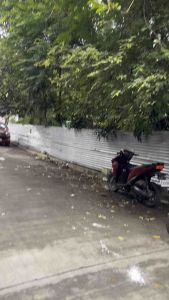 Reflectorize Guadalupe Baggy Pants for Men