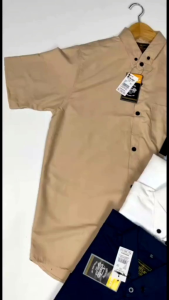 Baju Kemeja Pria Lengan Pendek Warna Sage Green Basic Polos Simple Pejantan Tangguh Outfit Hem Top