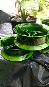 Bladu layangan hijau