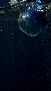 Parfum Wanita Nordic Water for Her: Parfum Berkualitas Tinggi & Segar