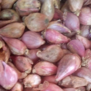 BAWANG MERAH SEGAR 250gr/1000gr