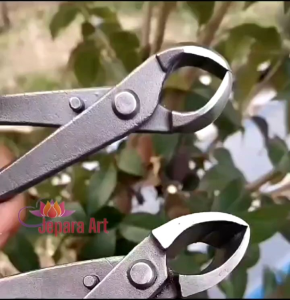 Alat Bonsai - MSW China Catok Bonsai Miring 21 cm