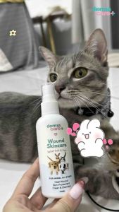 DERMACARE🐱HOCL Pet Skin Treatment Spray for Cat Dog Kucing Kulit Luka Fungus Bacteria Skin Disease 宠物神仙水伤口