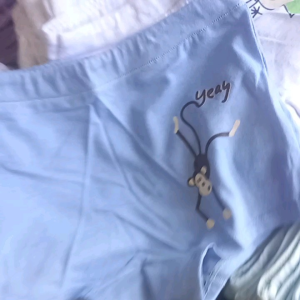 YEAY!! PREMIUM CELANA DALAM ANAK MONKEY WARNA BLUE