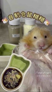 [Mophippo] Hamster Nutrition powder仓鼠金丝熊花枝鼠侏儒现磨营养粉增强体质营养自制长肉糊糊