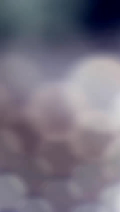 [VEMODE] #LK1 KEMEJA CASUAL IMPORT KANTOR SASA