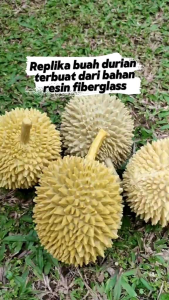 Replika buah Durian (1 pcs) Edukasi anak / Dekorasi meja makan / Display Restaurant Hotel Dan lain lain