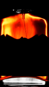 Scentplus pro player dominant parfum pria dewasa Extrait De Perfume 50ml original