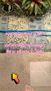 อาหารปลาสวยงาม BK-1 ผสมสาหร่ายสไปรูริน่า แบ่งขาย 5 kg. อาหารเม็ด 2 สี เขียว แดง