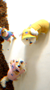 New ใหม่! Outside+ Cooling Tank ชุดเย็นสำหรับสัตว์เลี้ยง ช่วยระบายอากาศเหมาะกับหน้าร้อน และกิจกรรมกลางแจ้ง