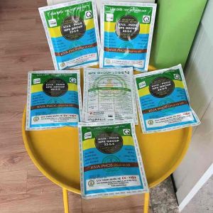 PHÂN BÓN LÁ 22- 5 - 5- ĐÂM CHỒI- VỌT ĐỌT - KÉO CƠI - DƯỠNG BỘ LÁ Gói 250 gr