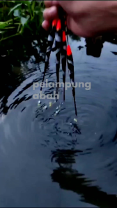 PELAMPUNG KAMBANGAN PANCING ANTI BADAI TABUNG STARLITE / PREMIUM BLACK FISHING FLOAT 26 CM
