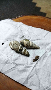 Batu kol buntet asli temuan sungai koleksi