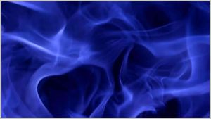 BAHAN TAJI AYAM YELLOW TIGER JULIA