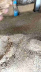 ผมขี้เลื่อยไม้ละเอียด 7 กิโลกรัม 160บาท