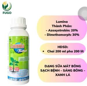 Lumina 200ml pha 200 lít Sạch bệnh sáng bông xanh lá