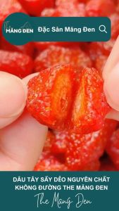 Dâu Tây Sấy Dẻo The Măng Đen Đặc Sản Măng Đen Kon Tum Ăn Vặt Tốt Cho Sức Khỏe