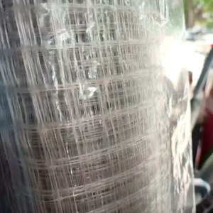 ยกม้วน 30 เมตร -ตาข่ายกันนก สีใส ตาข่ายกันไก่ ตาข่ายเป็ด ตาข่ายล้อมแปลงผัก กว้าง 6หุน มี 3 ขนาด กว้าง 1ม./ 1.5 ม./2 ม.