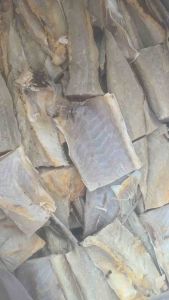 Ikan asin Jambal Roti Berdaging Tebal
