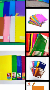 10pcs Colorful WritingGrade 1-3 and Compositionwith bookmarks for writing and note-taking.