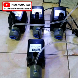 Pompa modifikasi protein skimmer aquarium laut kaps 2000lph