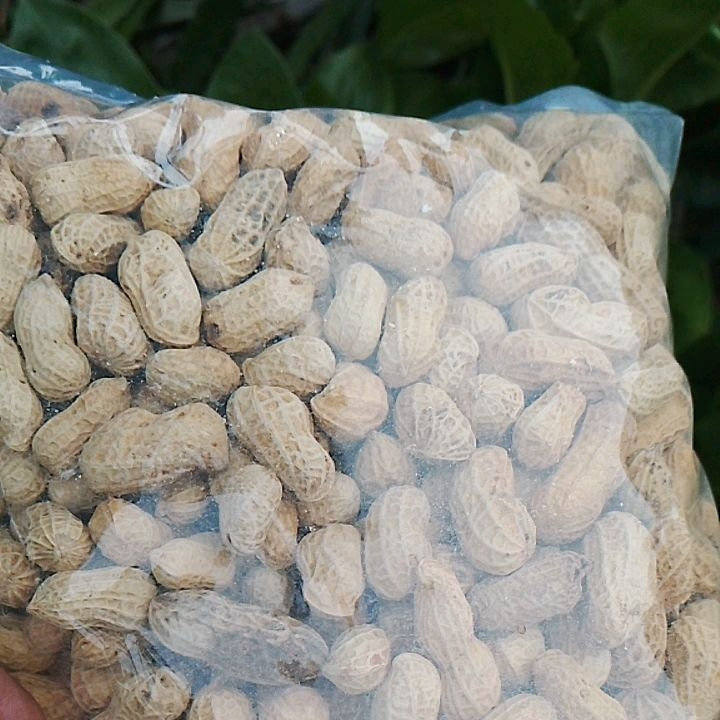 Kacang Kulit Kacang Tanah Open Kemasan 1kg
