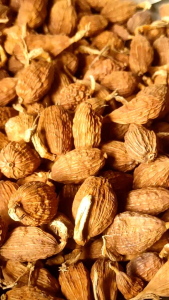 เฉ่าโก่ว กระวานดำ ส่งฟรีกดรับโค้ด ลูกค้าสามารถเก็บคูปองส่งฟรี และสินค้า ตรงใต้ และเปลี่ยนแปลงไปกดตอนนี้