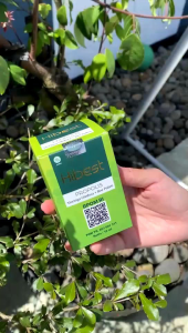 Propolis Hibest 100% Original: Obat Herbal Tetes Alami MultiKhasiat Ampuh