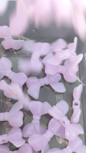 20gram manik pita jelly premium