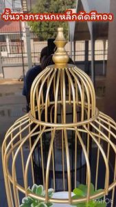 DT46-48 ชั้นวางกรงนกเหล็กดัดสีทอง